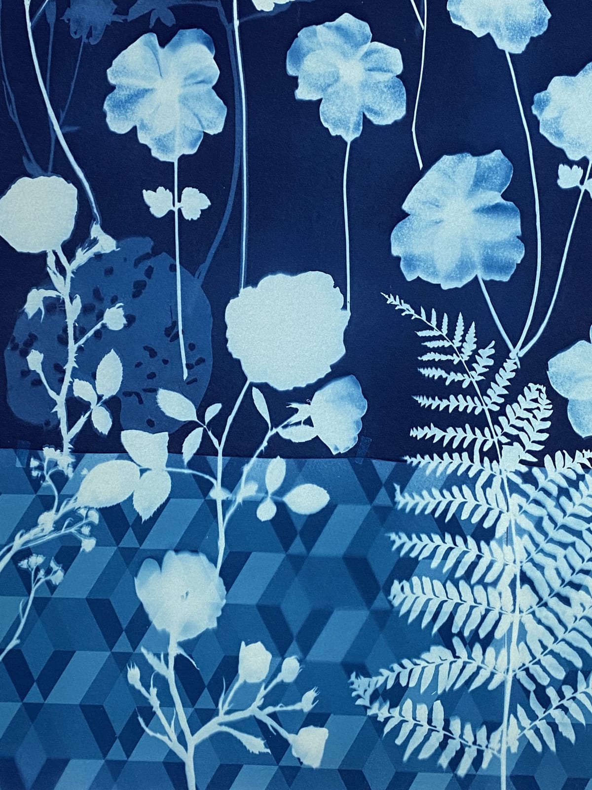 Julia Whitney Barnes, Cyanotype Painting (Anemones, Rose of Sharon, Queen Anne's Lace, Floor Pattern), 2021