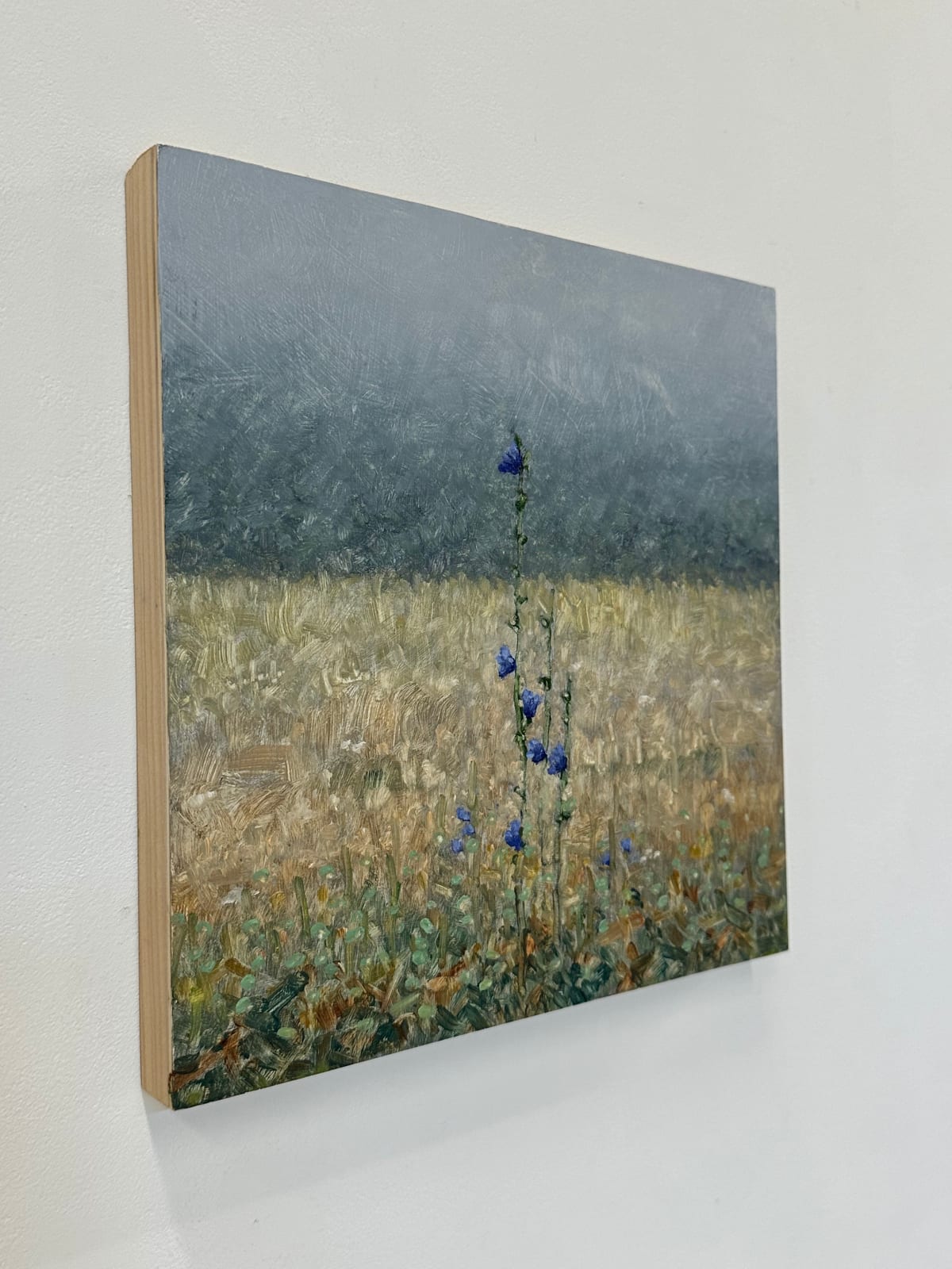 Thomas Sarrantonio, Field Painting September 12, 2023