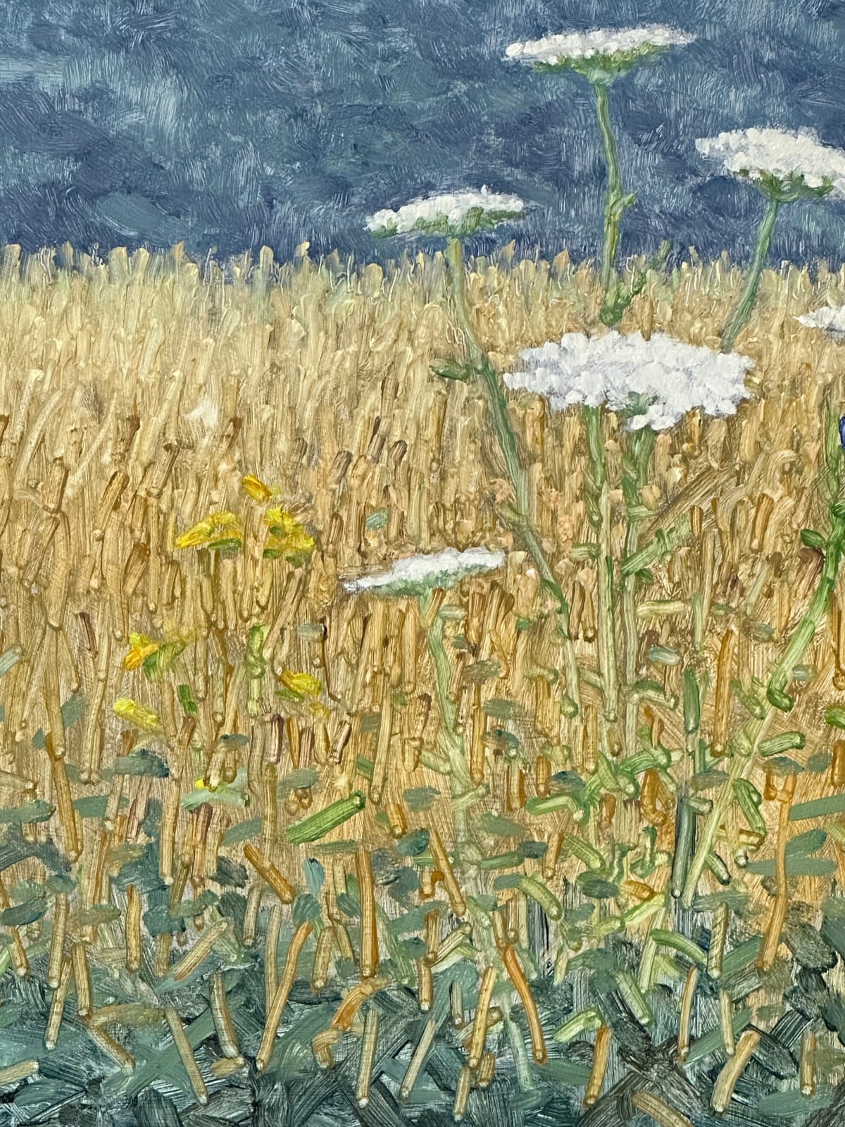 Thomas Sarrantonio, Field Painting July 15, 2024