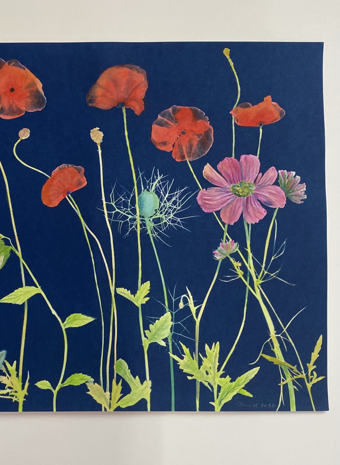 Julia Whitney Barnes, Cyanotype Painting (Poppies 2), 2020