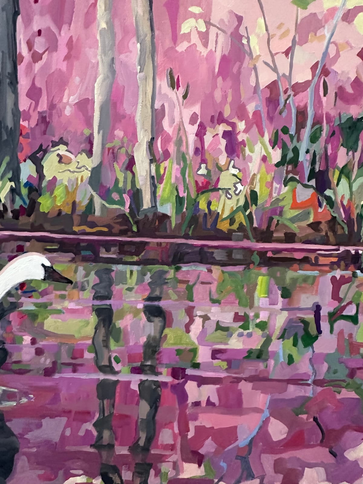 KK Kozik, Swans, 2024