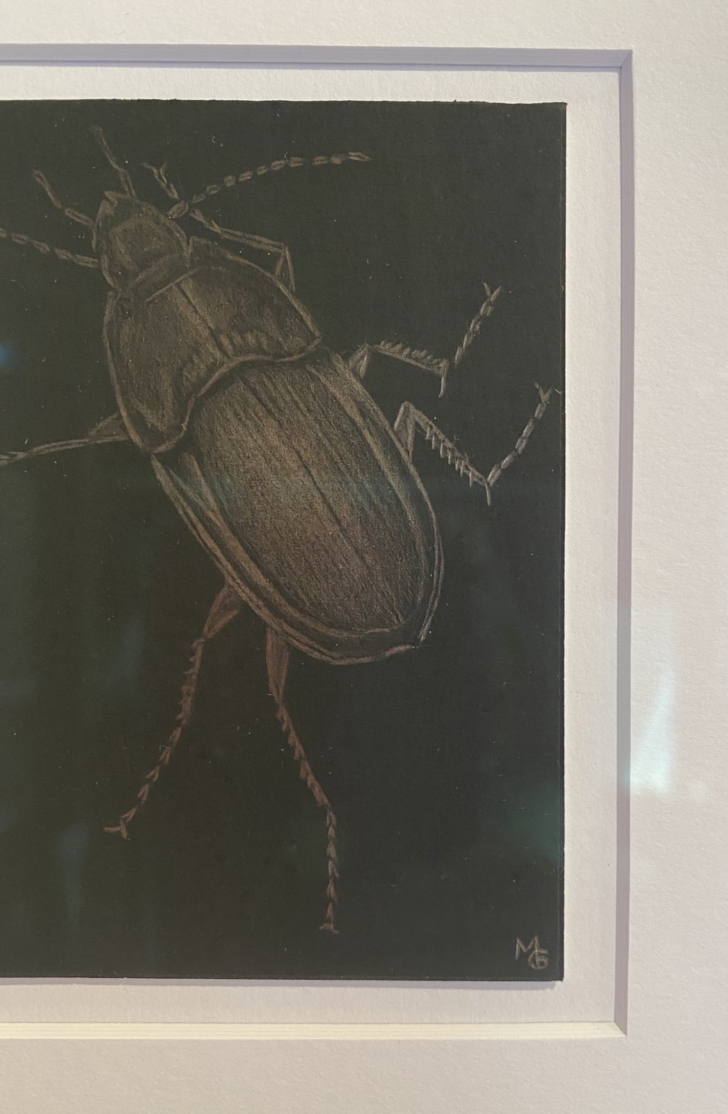 Margot Glass, Large Beetle, 2020