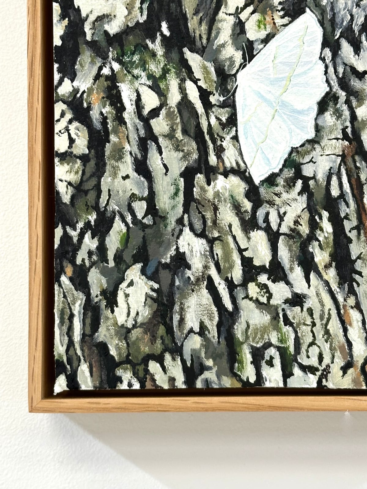 Amanda Acker, Pale Beauty, 2023