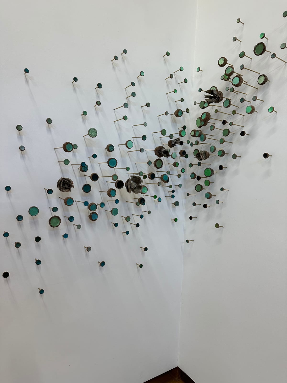 Julie Maren, Aquatic Garden, 2024