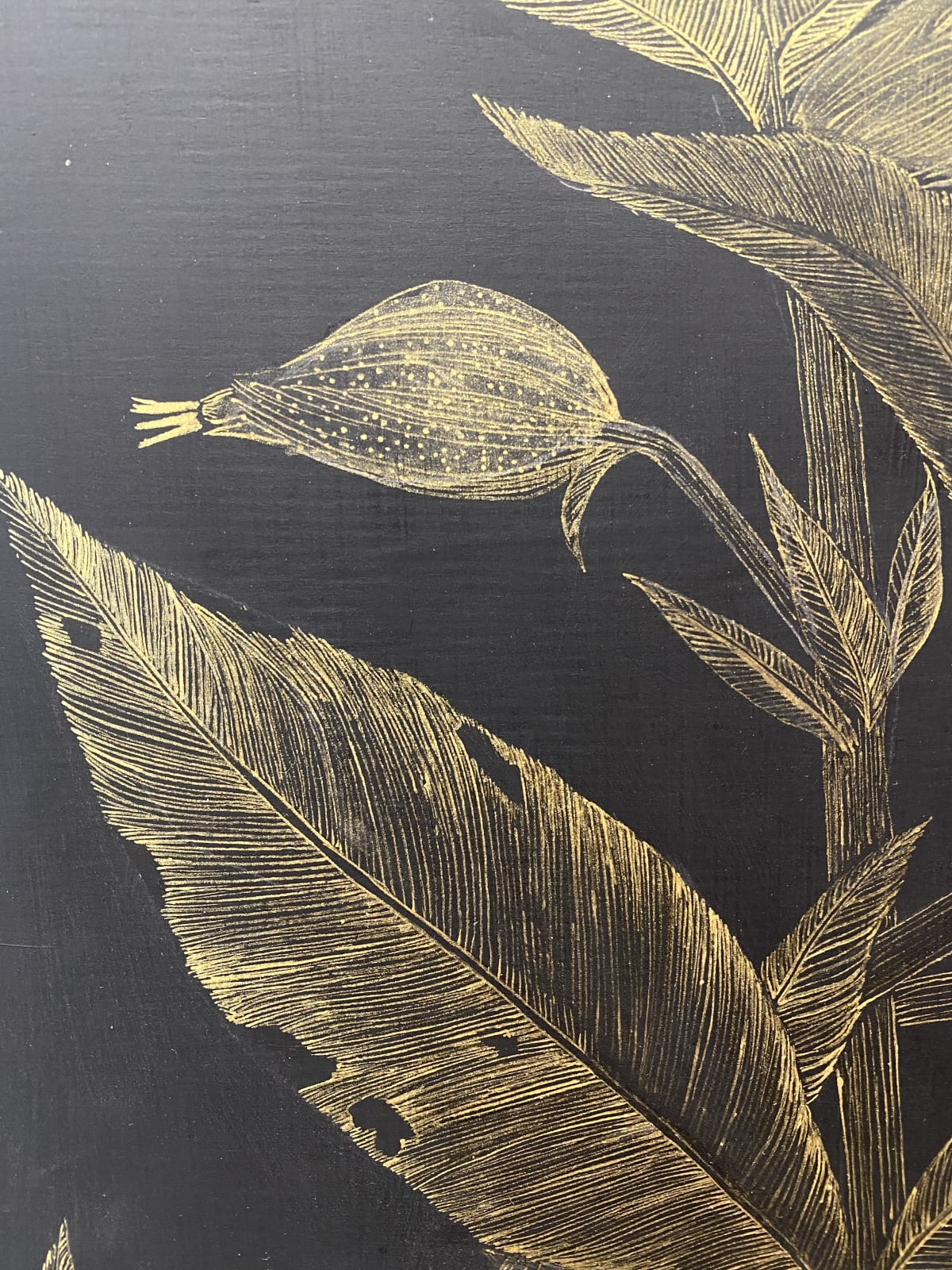 Margot Glass, White Campion, 2022