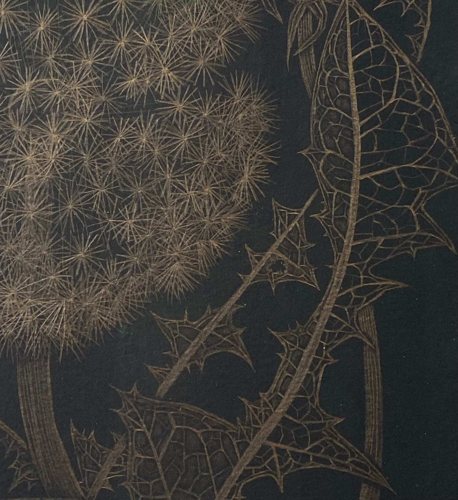 Margot Glass, Dandelion with Two Buds, 2022