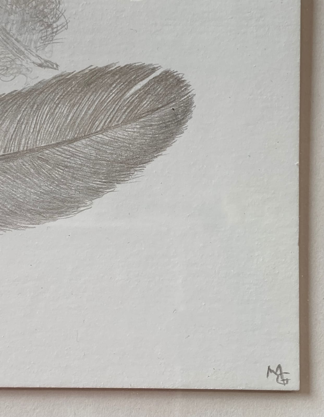 Margot Glass, Feather Group 3, 2021