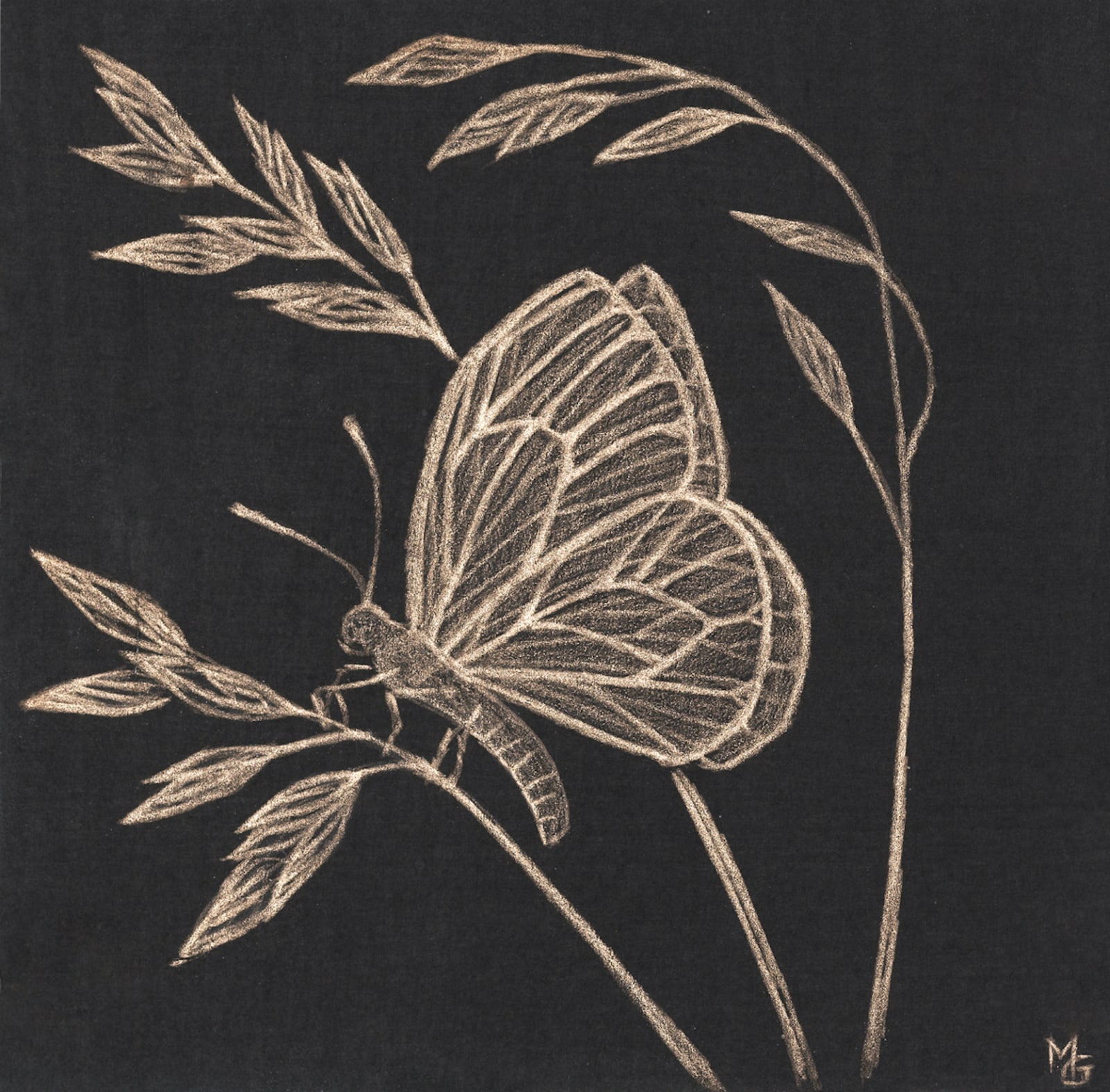 Margot Glass, Small Moth, 2020