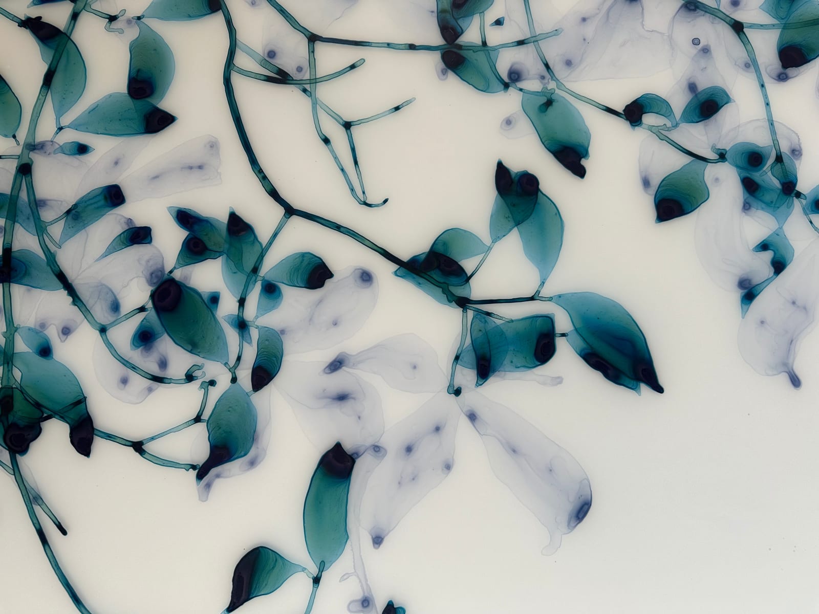 Jackie Battenfield, April Moon, 2023