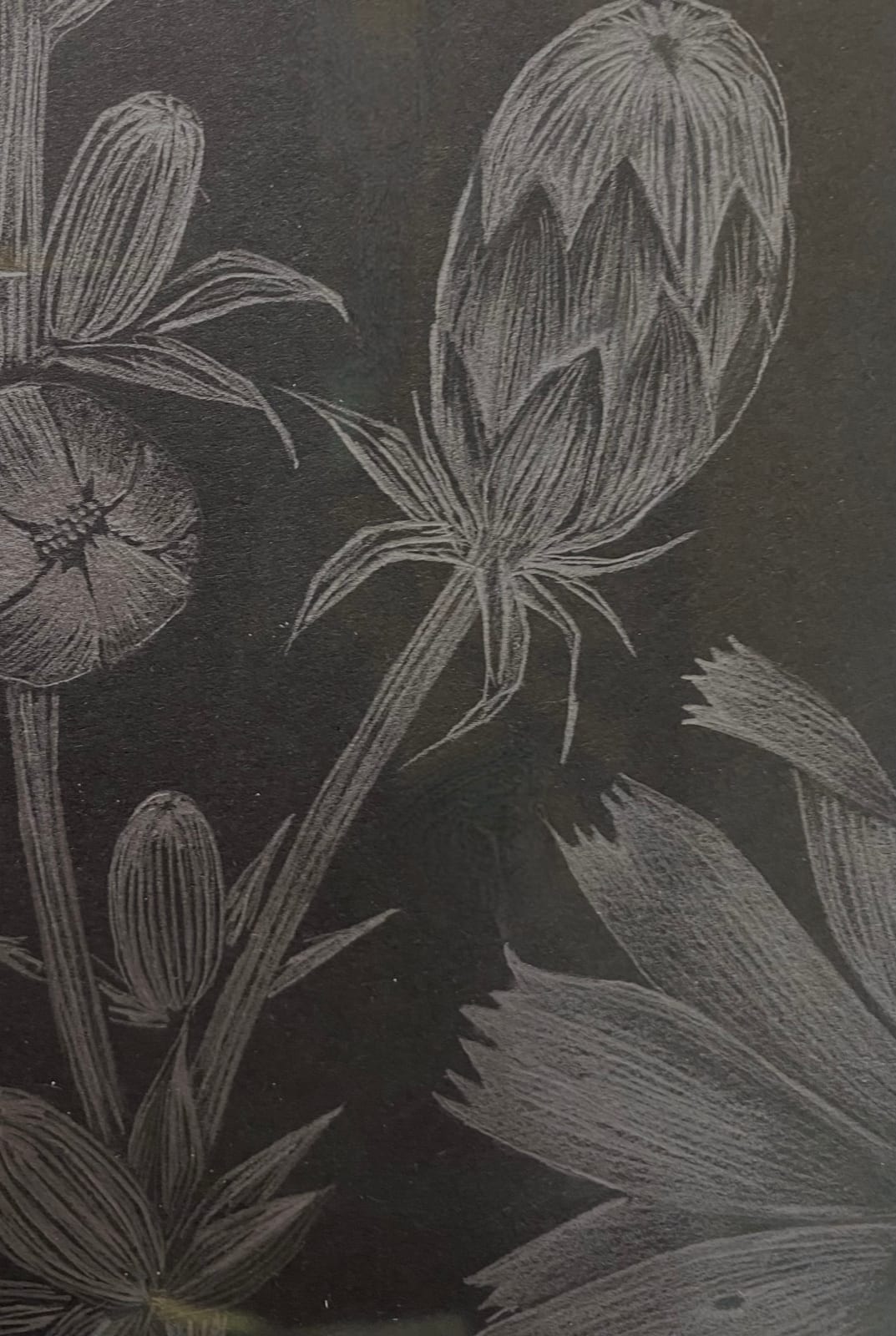 Margot Glass, Chicory 2, 2022
