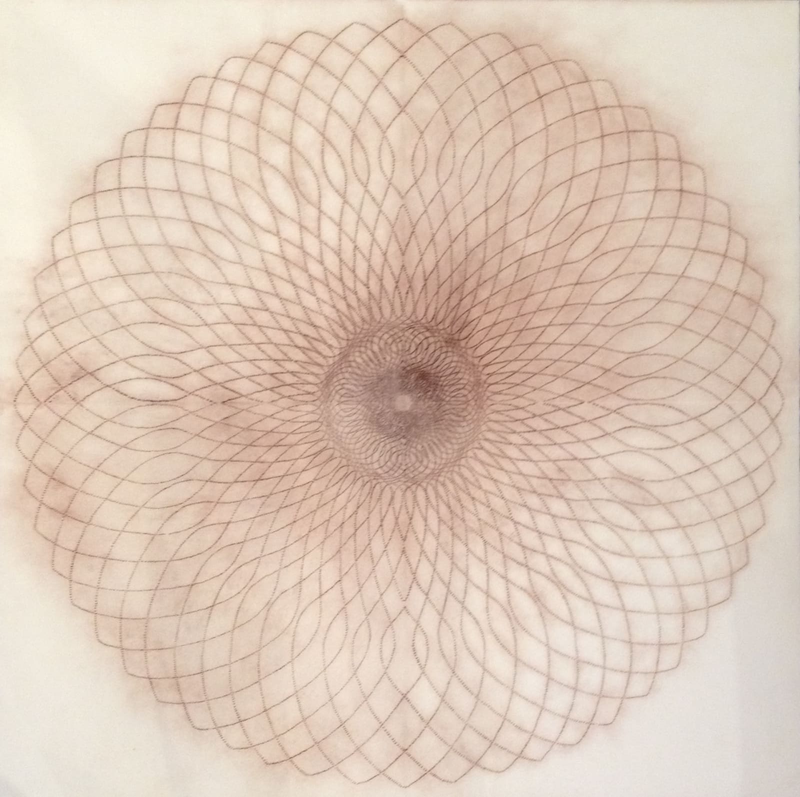 Mary Judge, Exotic Hex Series, 12/3, 2006