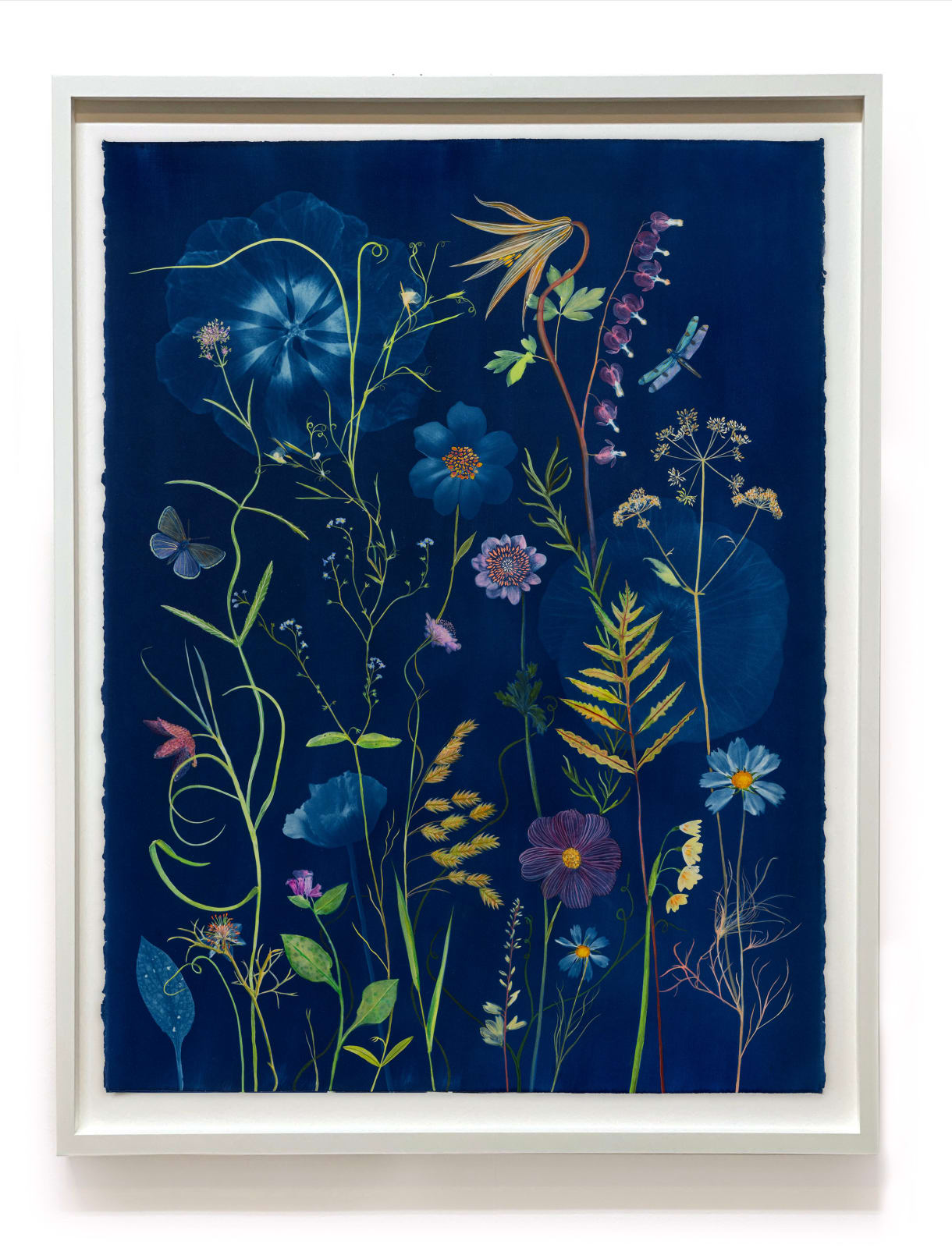 Julia Whitney Barnes, Picturesque Botany (Lily, Bleeding Hearts, Cosmos, Forget-me-not, Pollinators, etc.), 2024