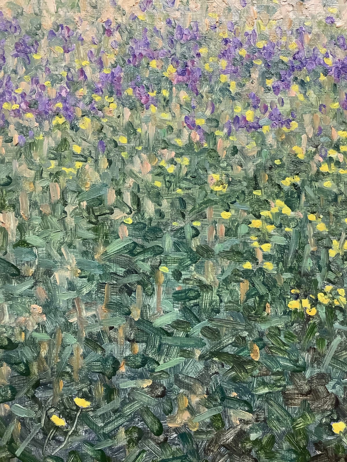 Thomas Sarrantonio, Contribution, 2018