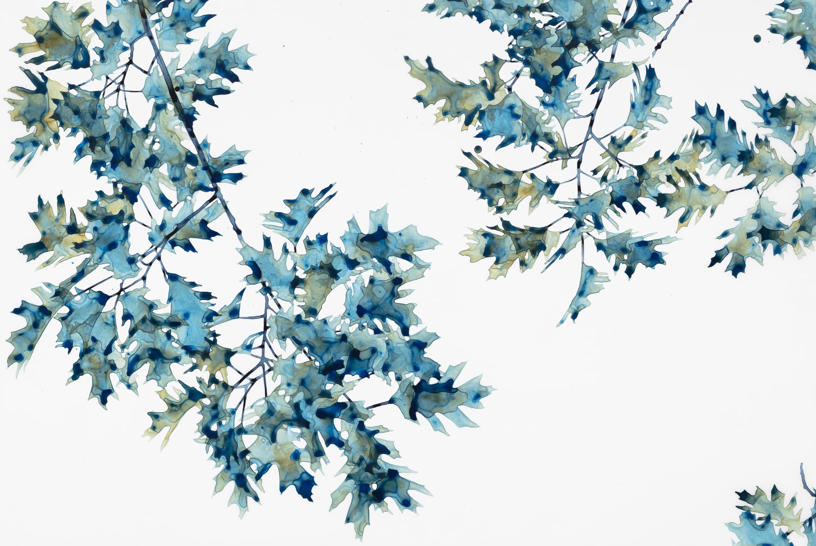 Jackie Battenfield, First Frost, 2019