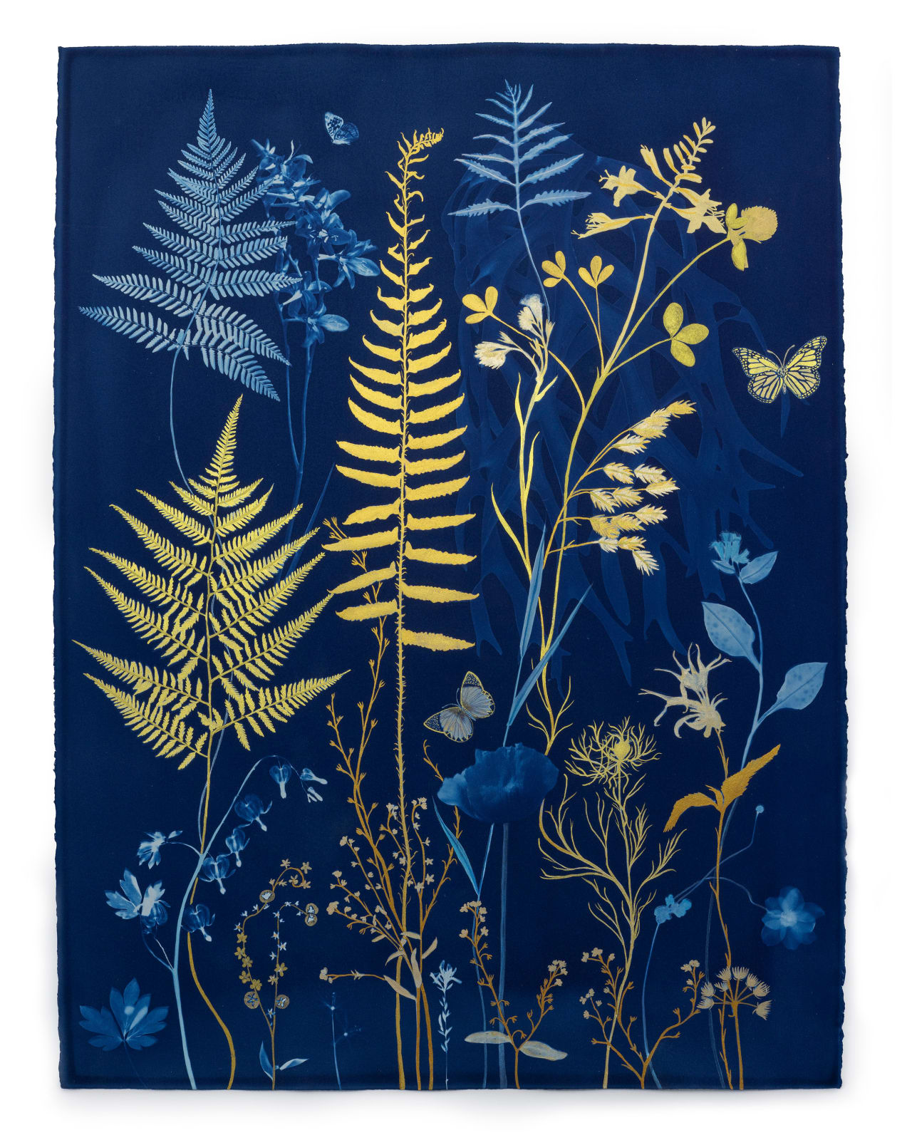 Julia Whitney Barnes, Gold Flora (Ferns, Montbretia, Forget-me-not, Pollinators, etc.), 2023-'24