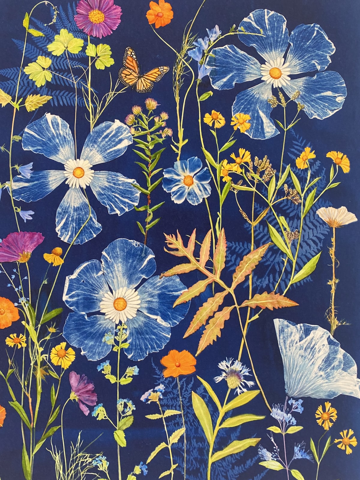 Julia Whitney Barnes, Cyanotype Print (Cosmos, Ferns, Daisies, and Monarch), 2022