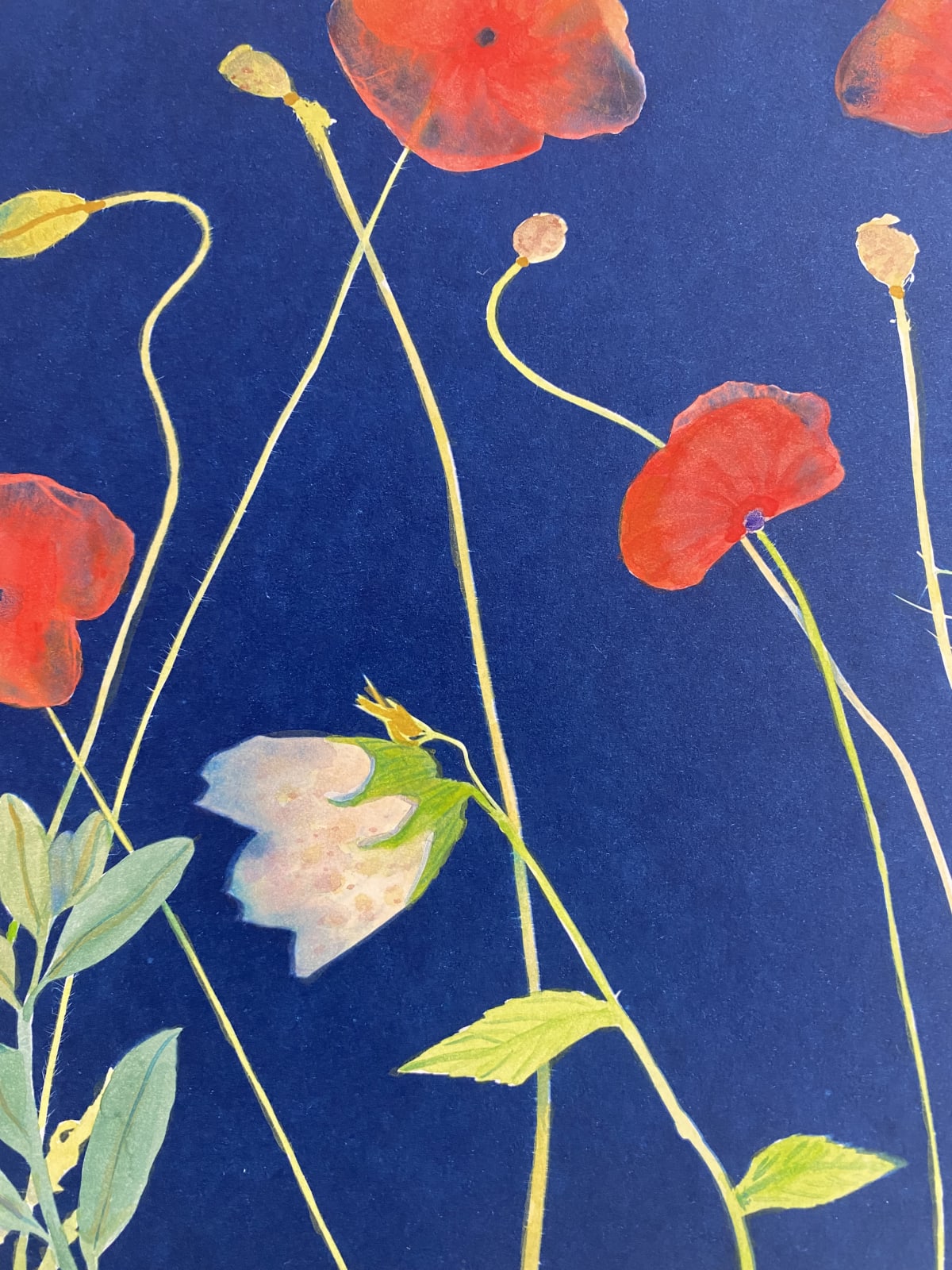 Julia Whitney Barnes, Cyanotype Painting (Poppies 2), 2020