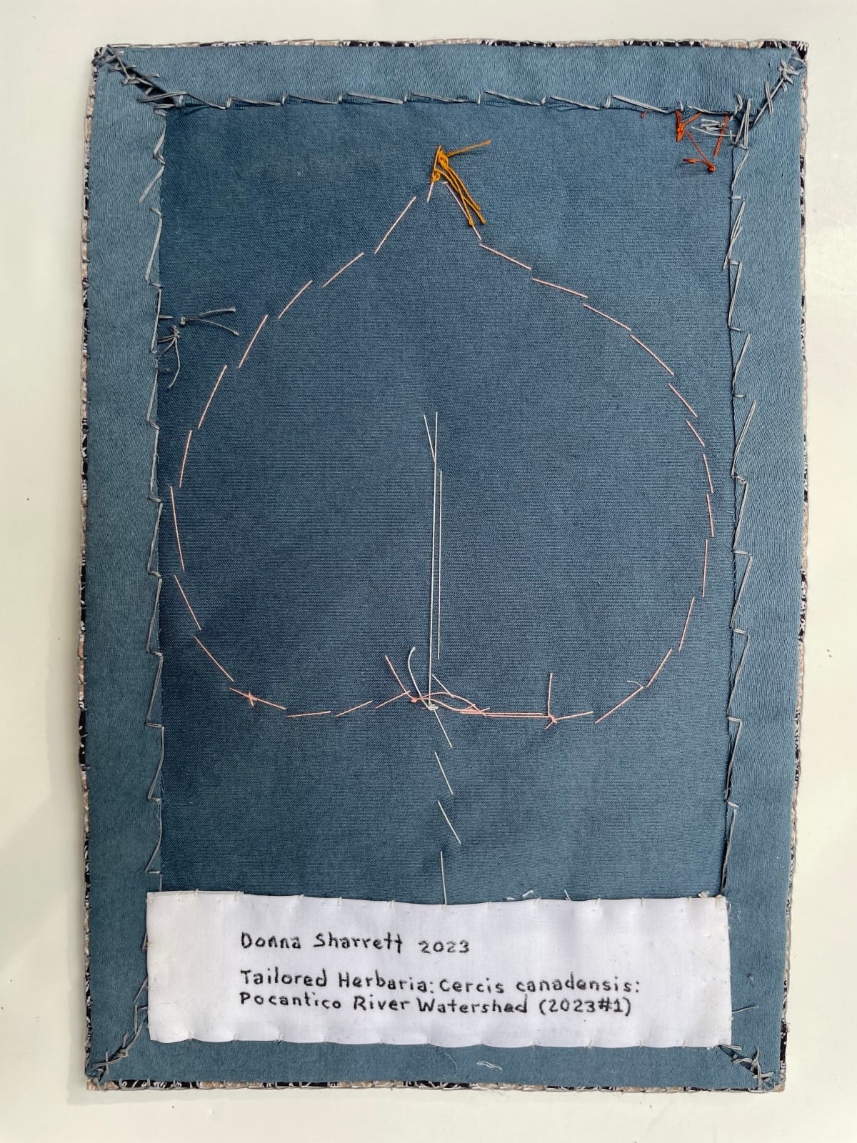 Donna Sharrett, Tailored Herbaria: Cercis canadensis: Pocantico River Watershed (2023 #1), 2023