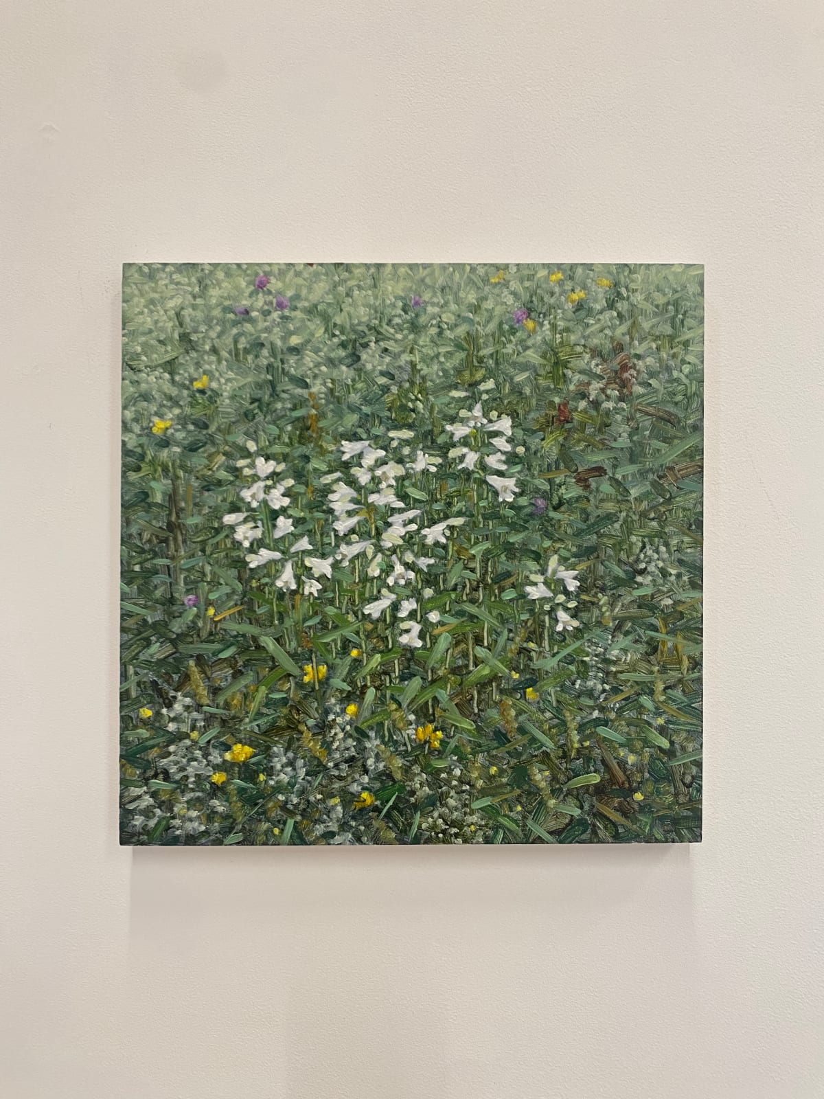 Thomas Sarrantonio, Field Painting June 11, 2021