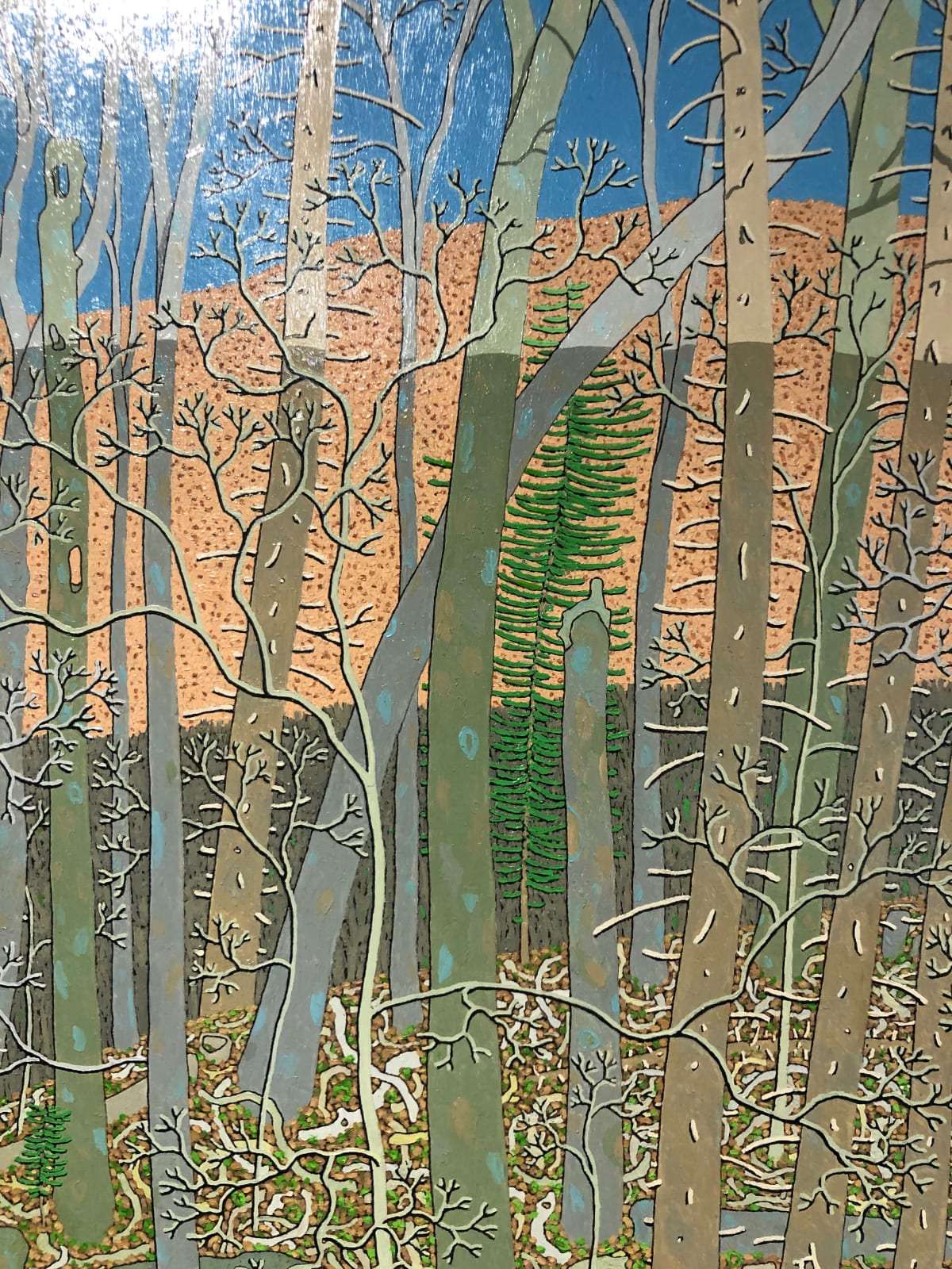 Gregory Hennen, Wyatt Mountain Shadow February, 2012