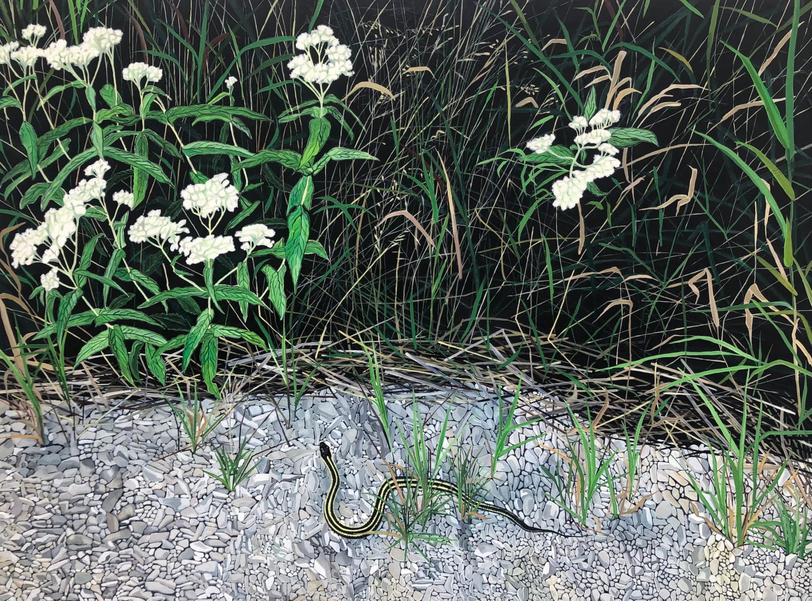 Amanda Acker, Slithering In, 2023