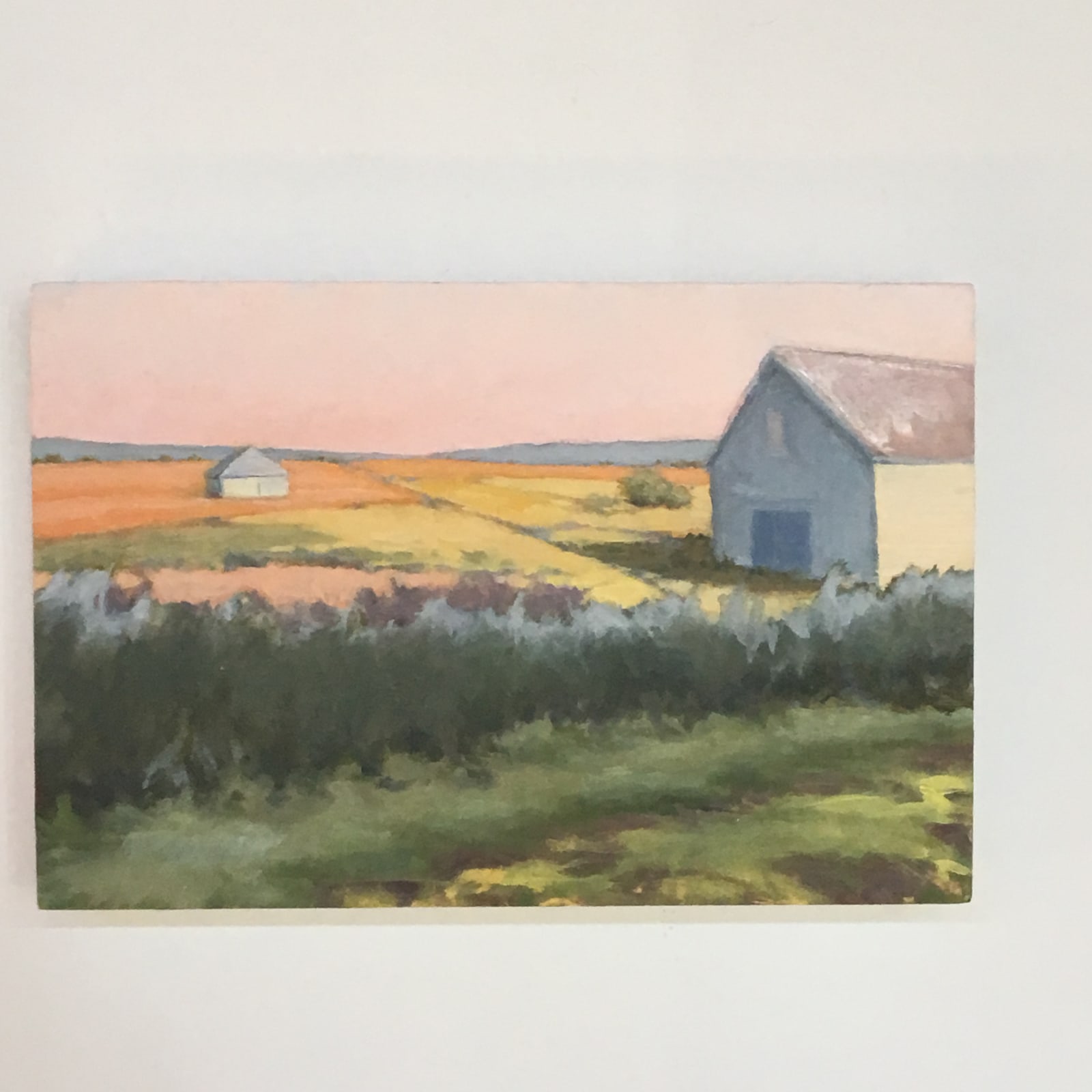 Sally Maca, Summer Fields, 2019