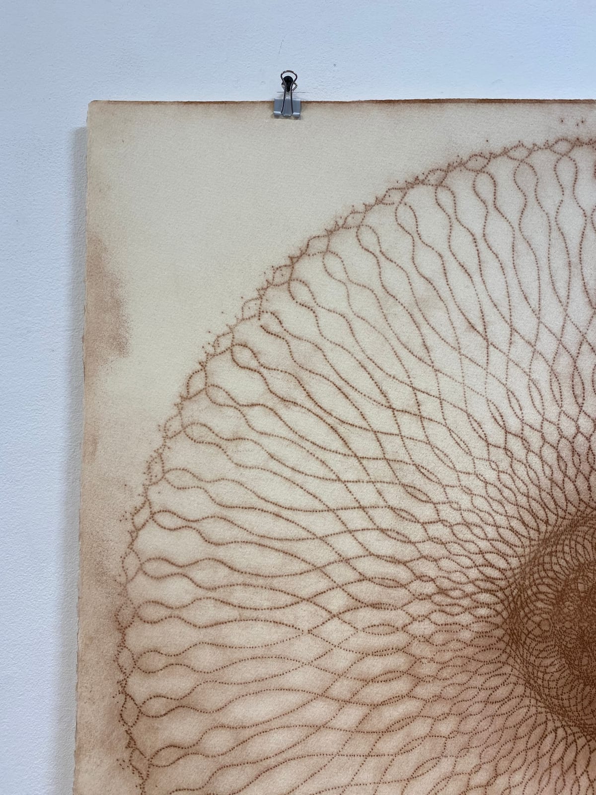 Mary Judge, Exotic Hex Series, 112/07, 2007