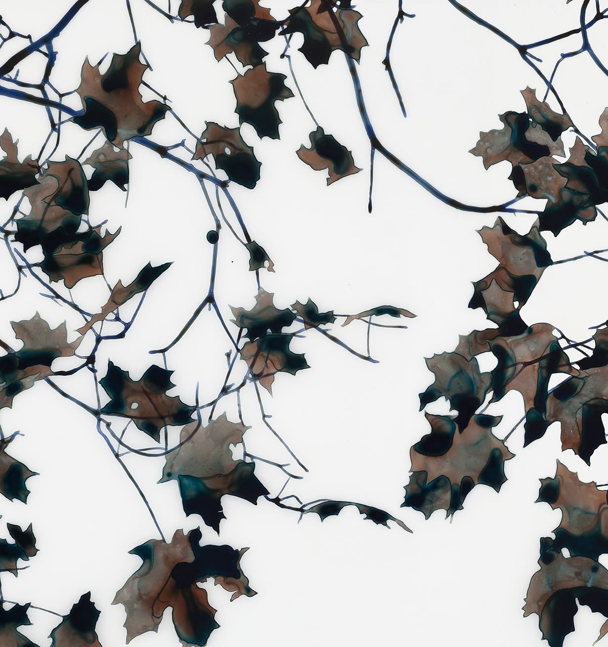 Jackie Battenfield, Night Light mcs, 2015