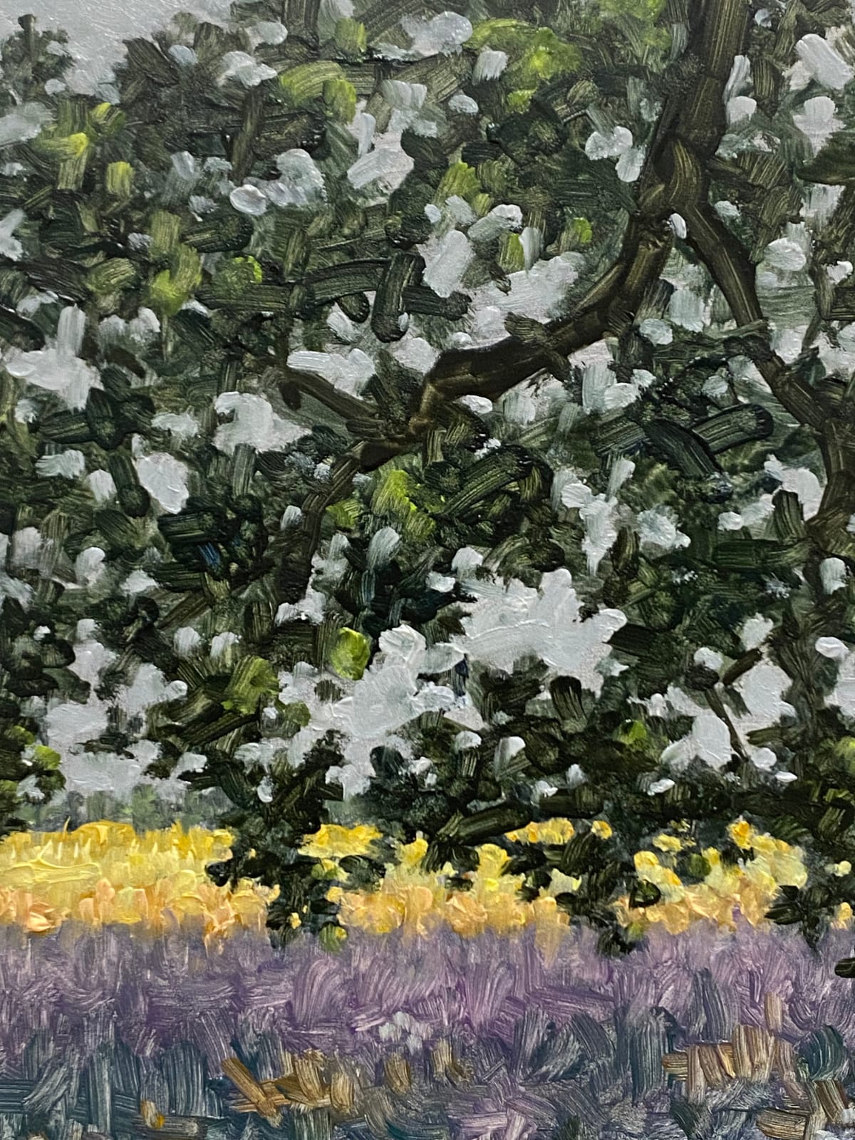 Thomas Sarrantonio, Field Painting June 30, 2022