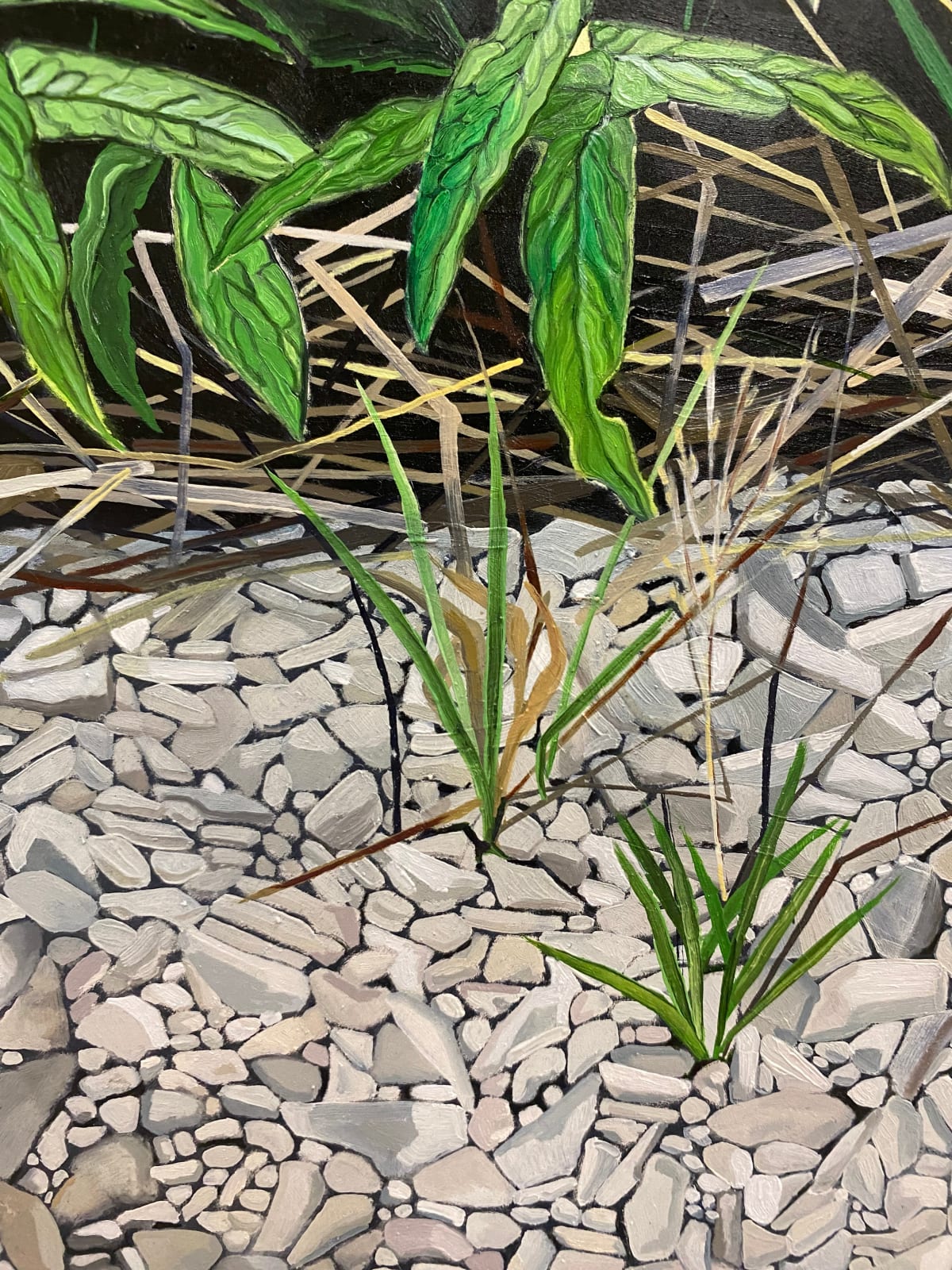 Amanda Acker, Slithering In, 2023