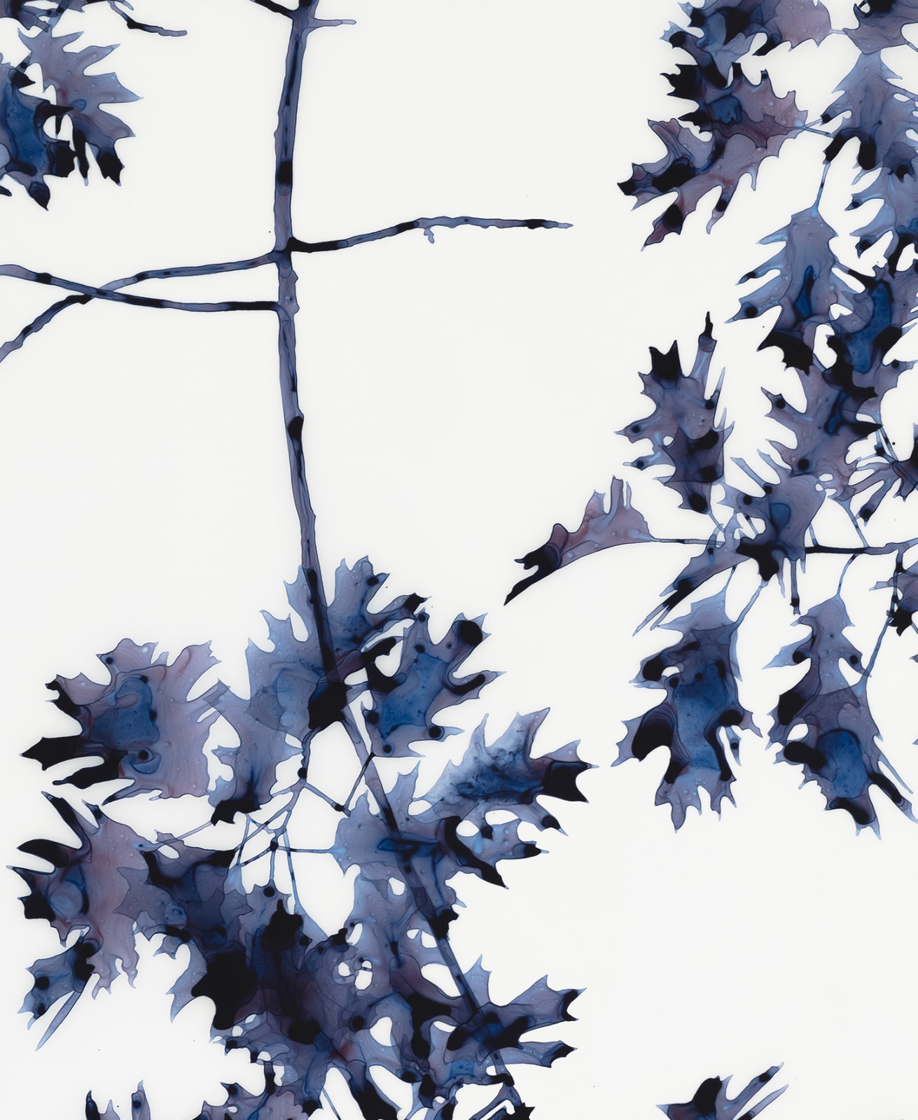 Jackie Battenfield, Briefly Shaded, 2019
