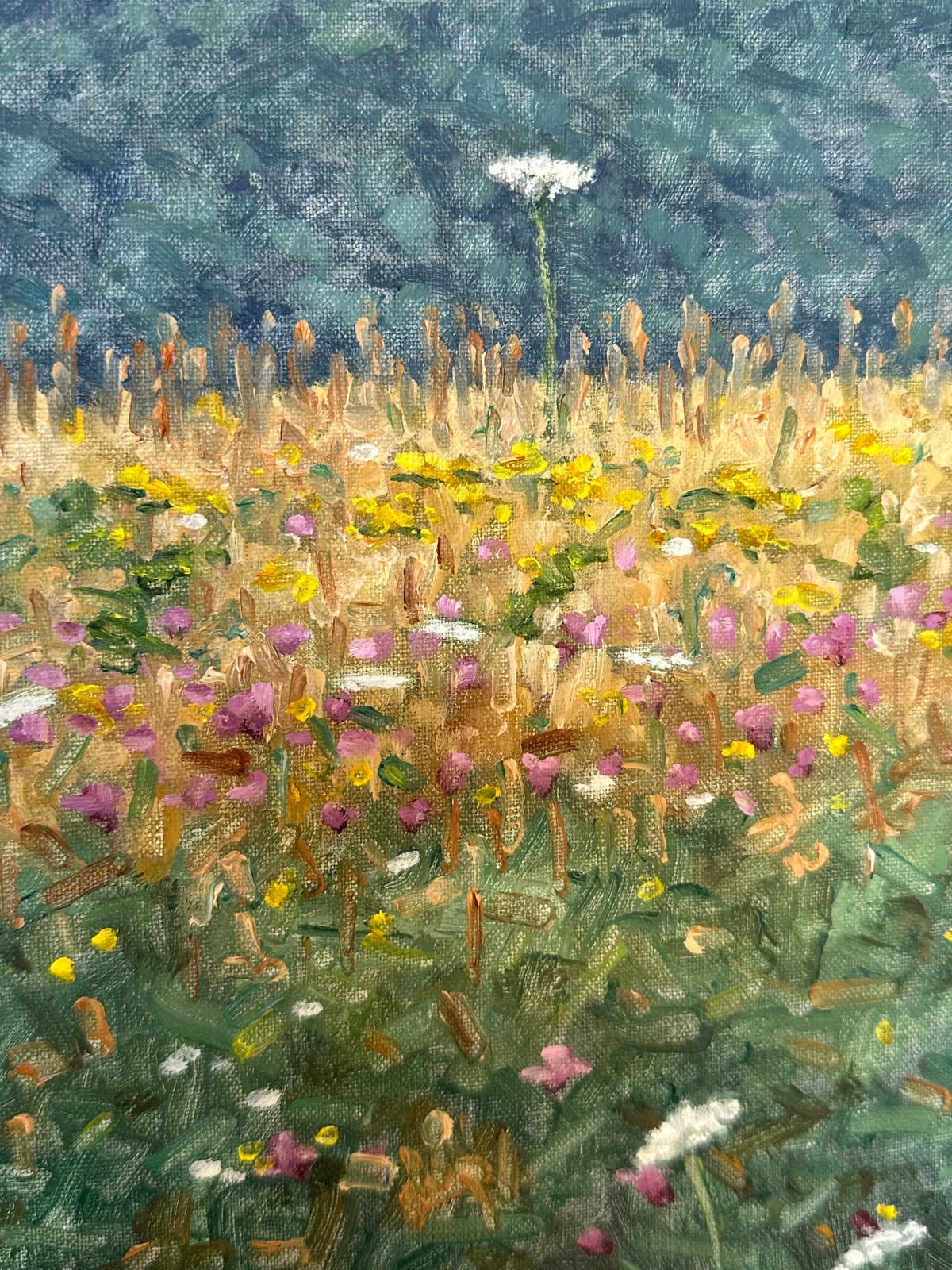 Thomas Sarrantonio, Field Painting August 3, 2023