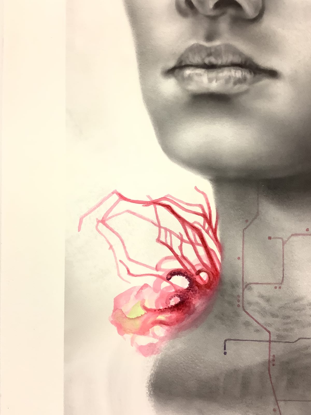 Francine Fox, Red Bird Reef, 2017