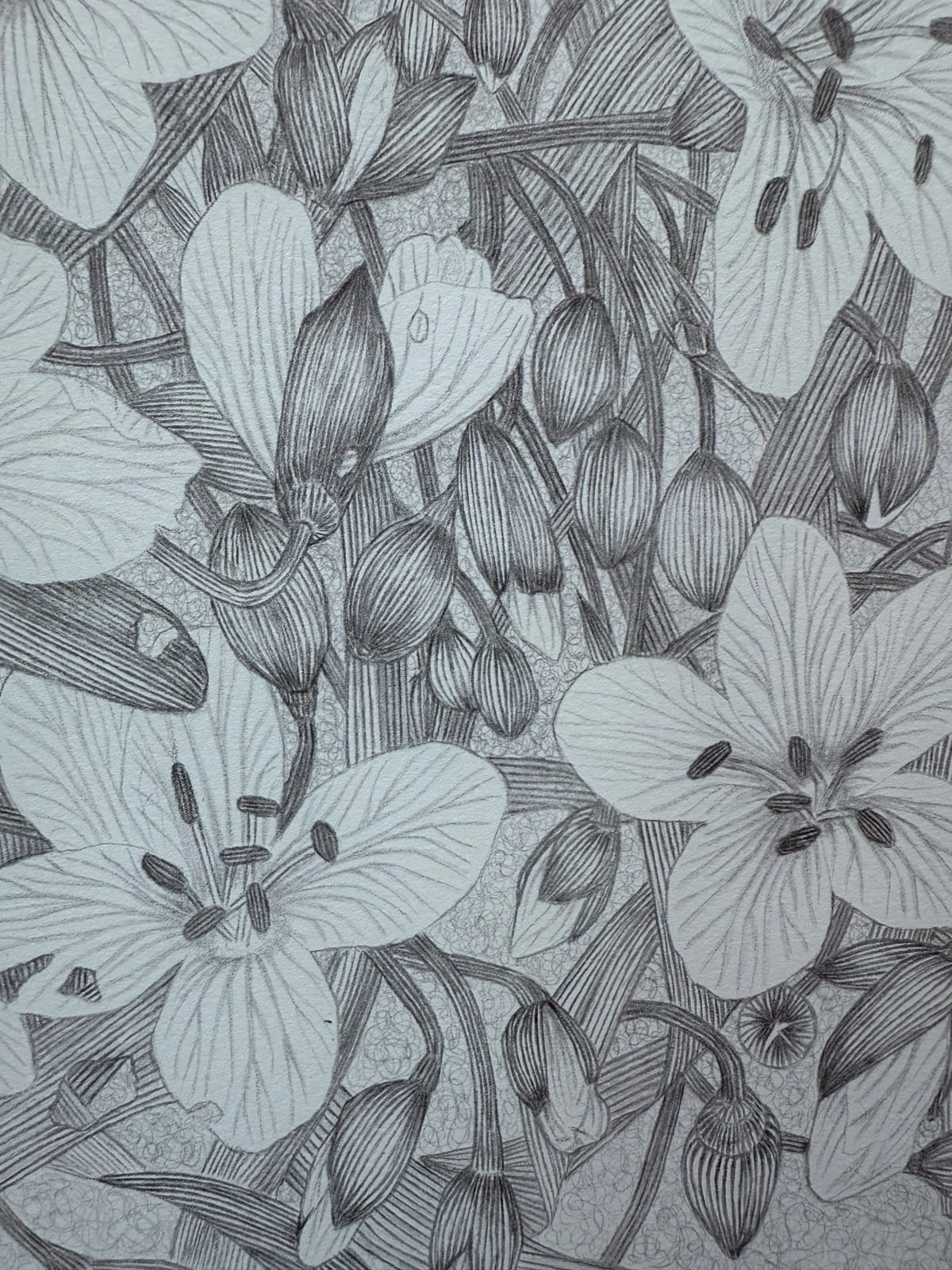 Margot Glass, Spring Beauty (on blue ground), 2025