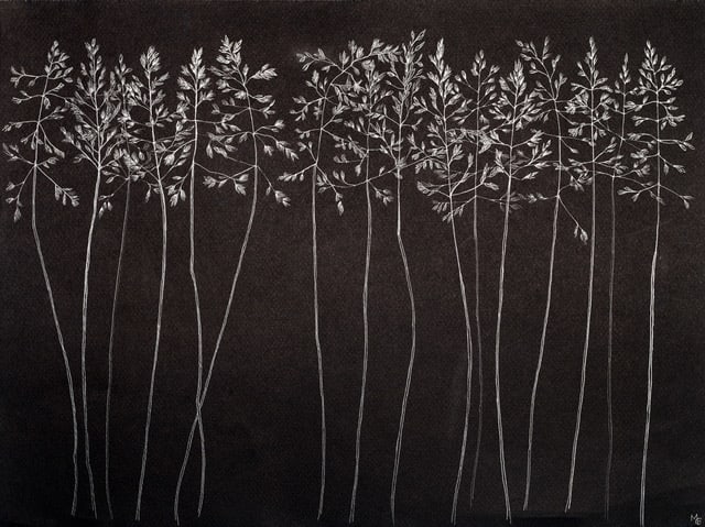 Margot Glass, Grasses 2, 2019