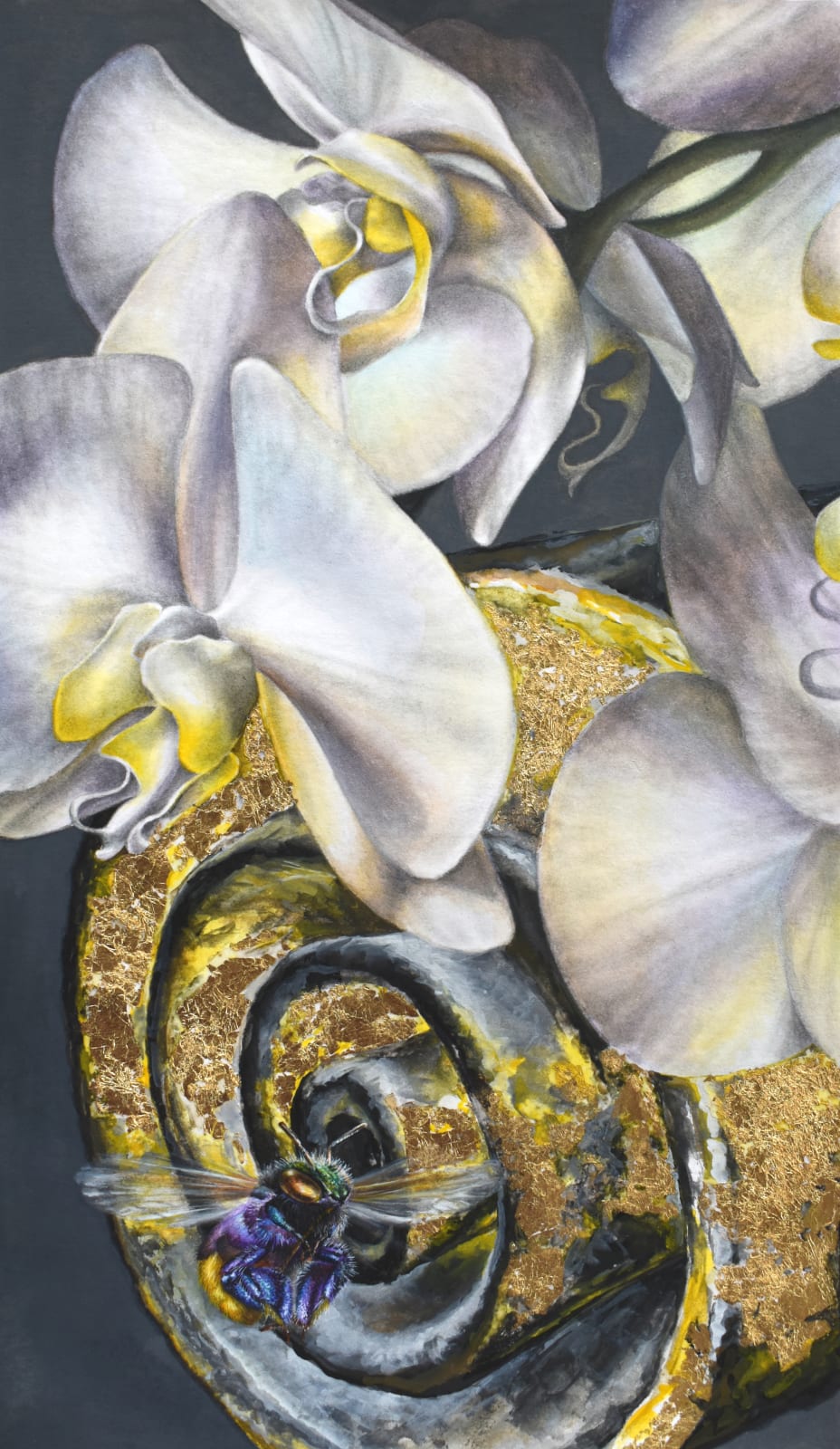 Francine Fox, White Panama Catacombs, 2020