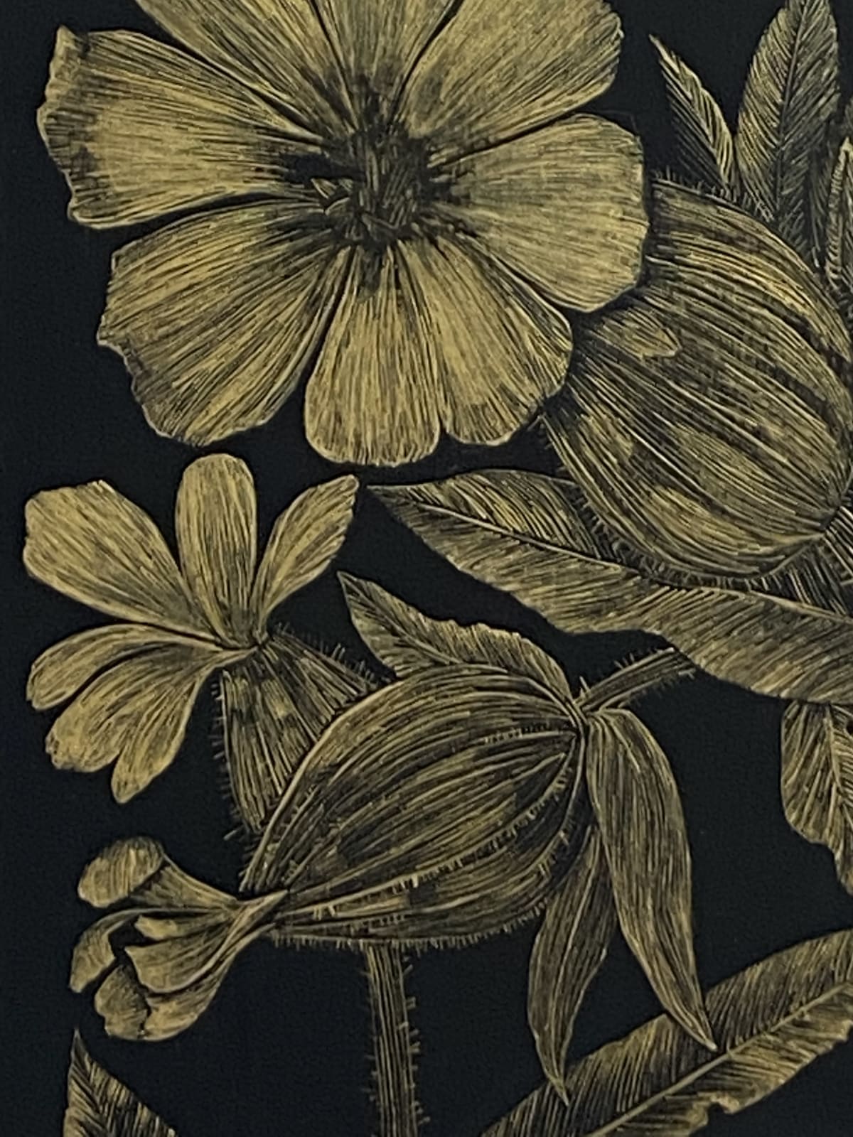 Margot Glass, White Campion, 2021