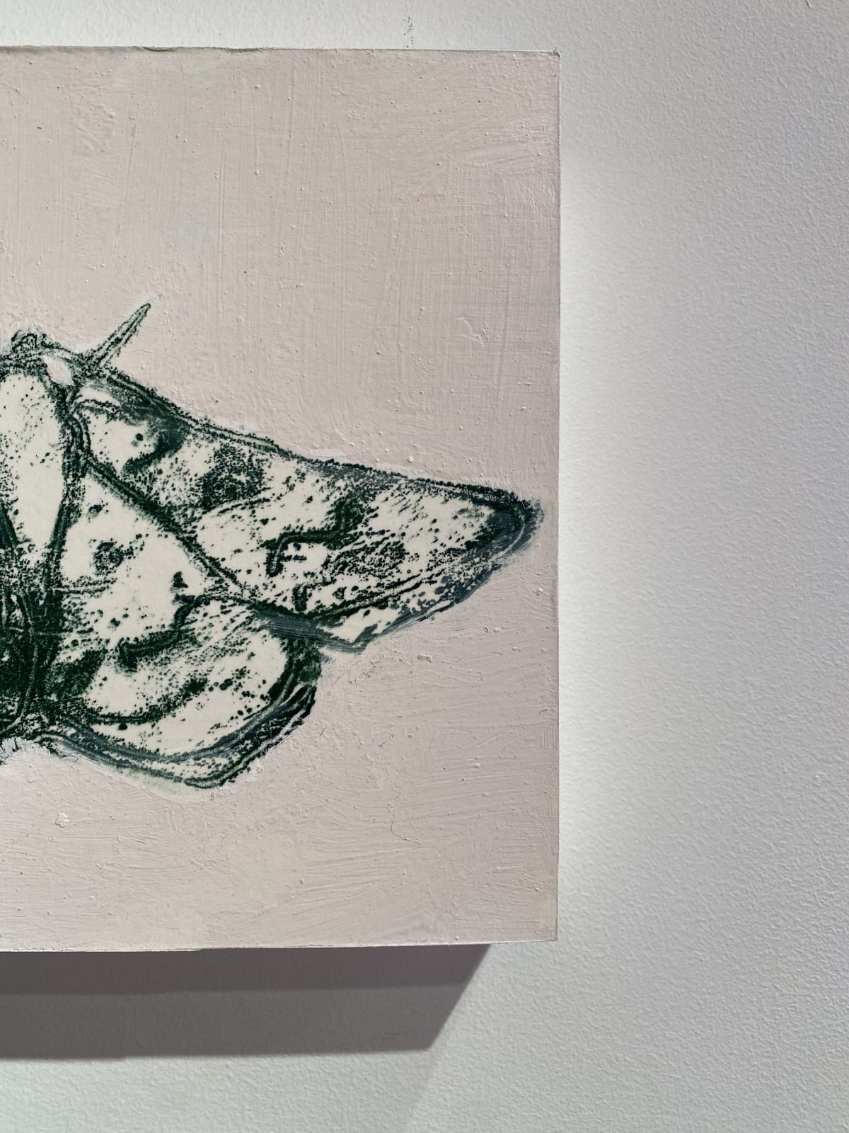 David Konigsberg, Moth #3, 2020