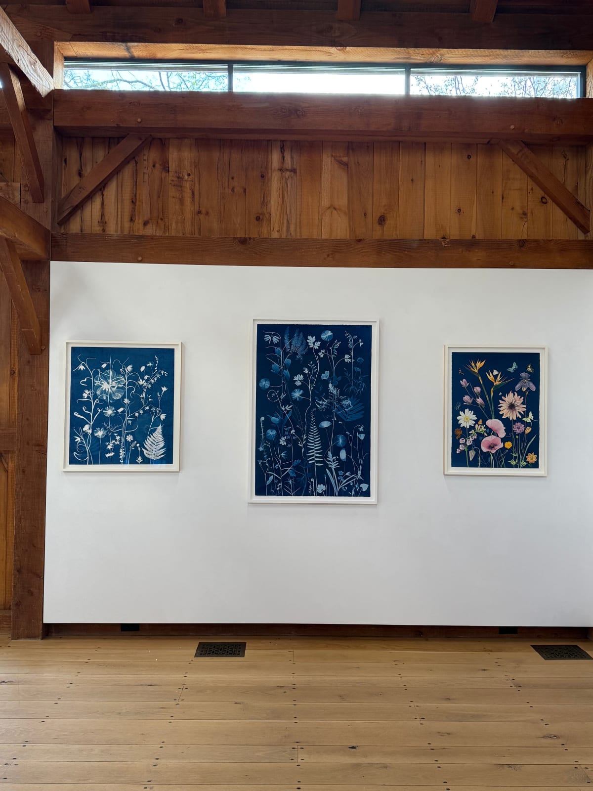 Julia Whitney Barnes, Nocturnal Nature (Fritillarias, Bleeding Hearts, Ferns, Hibiscus), 2021-'23
