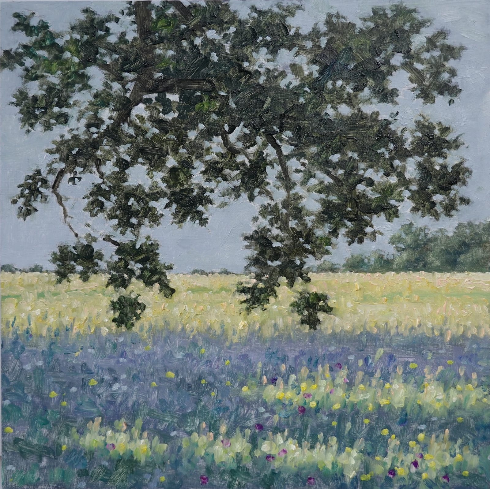 Thomas Sarrantonio, Field Painting June 15, 2022