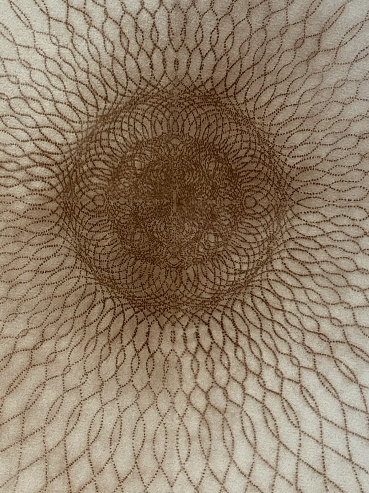 Mary Judge, Exotic Hex Series, 112/07, 2007