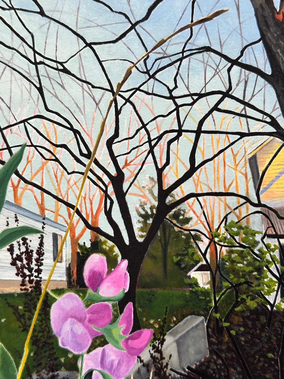 Amanda Acker, November Bloom, 2023