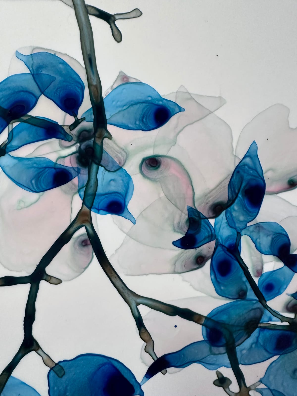 Jackie Battenfield, Sweet Ballad, 2024