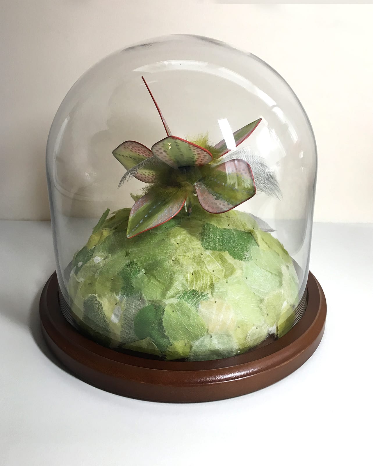 Jill Parisi, Rainbow Trout Lily, 2018