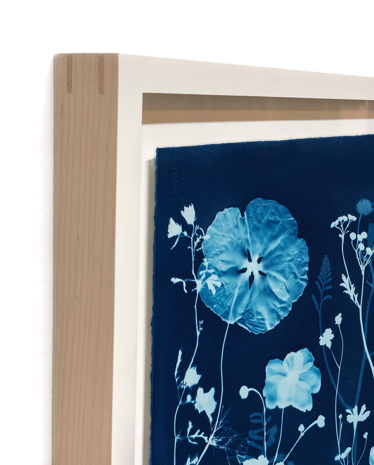 Julia Whitney Barnes, Cyanotype Painting (Anemones, Rose of Sharon, Queen Anne's Lace, Floor Pattern), 2021