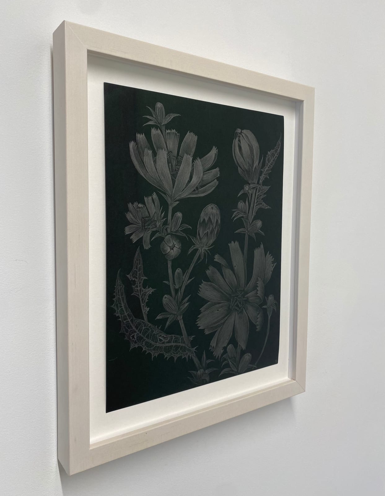 Margot Glass, Chicory 2, 2022
