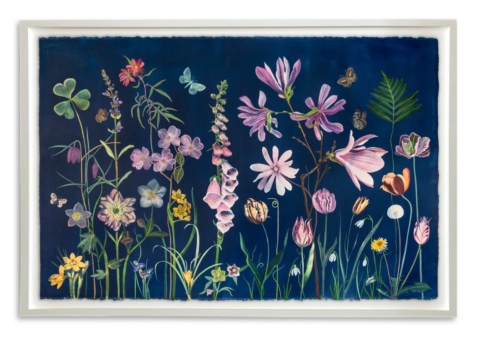 Julia Whitney Barnes, Picturesque Botany (Tulip, Magnolia, Dogwood, Foxglove, Crocus, Pollinators, etc.), 2025