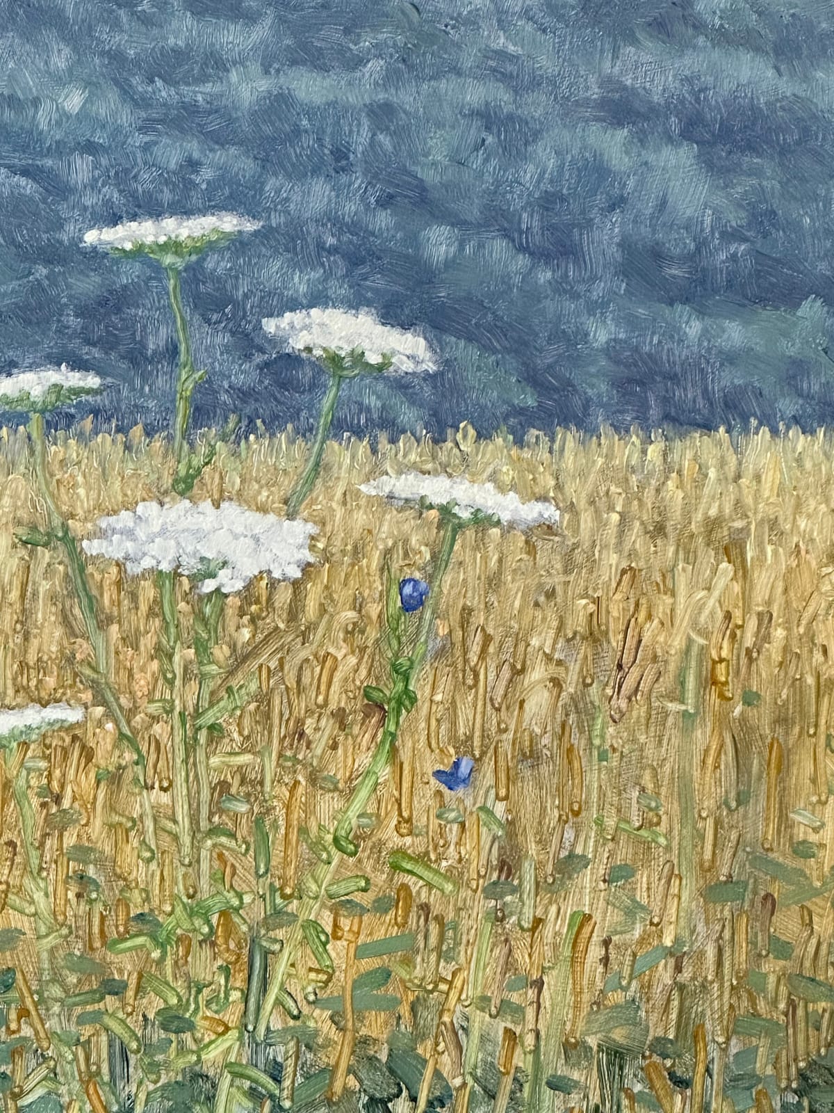 Thomas Sarrantonio, Field Painting July 15, 2024