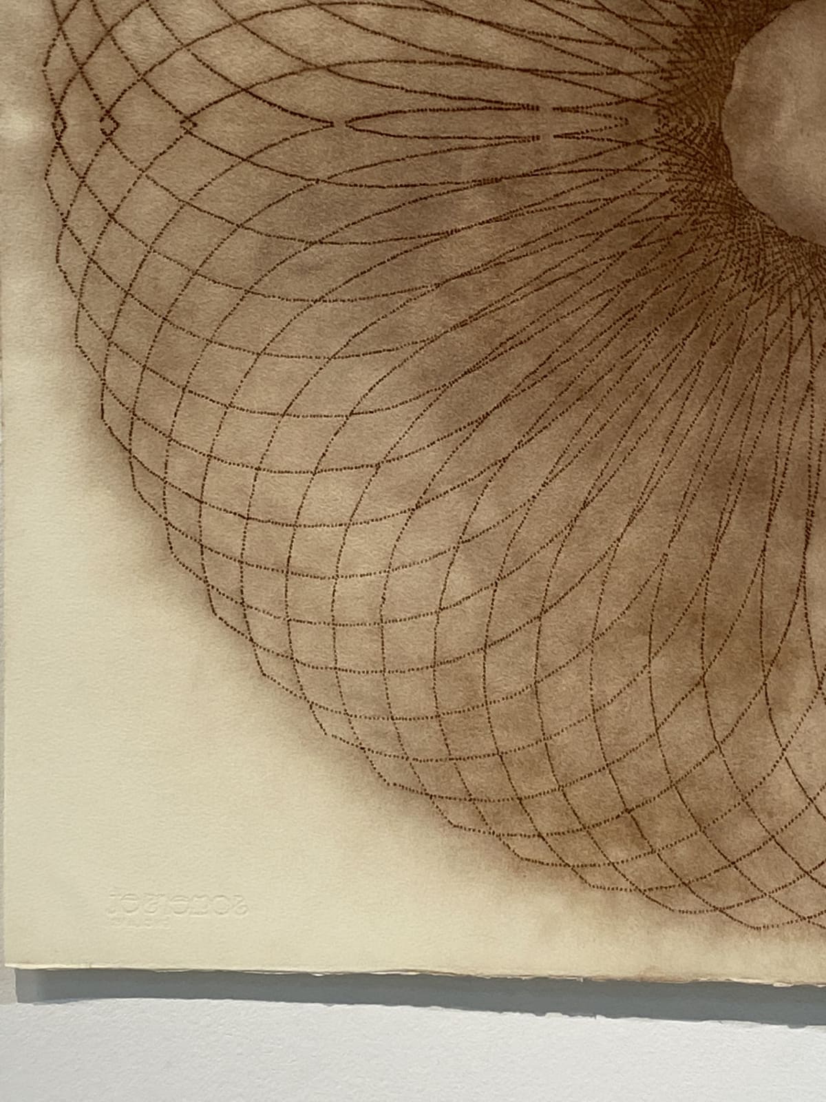 Mary Judge, Exotic Hex Series, 12/1, 2006