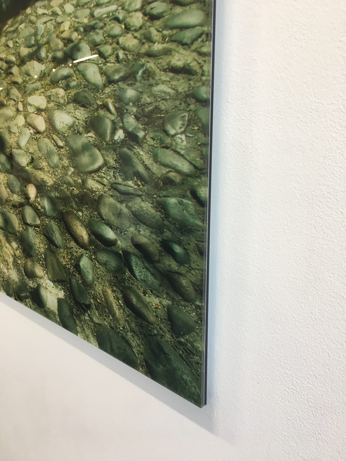 Mark Bartkiw, Fusion, 2019